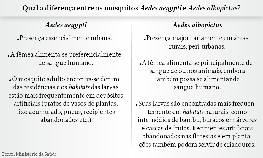 mosquitos-01