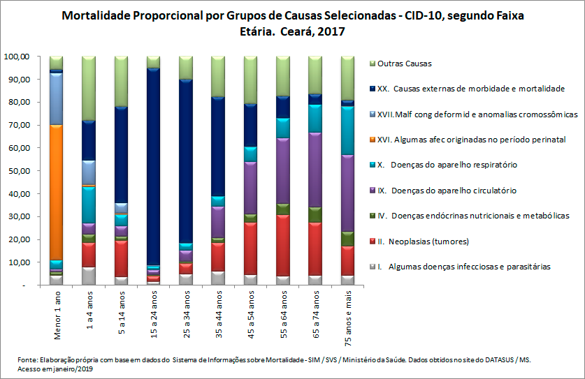 Mortalidade proporcional por grupos de causas, segundo faixa etária