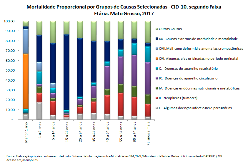Mortalidade proporcional por grupos de causas, segundo faixa etária