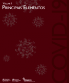 Volume 1 – Principais Elementos