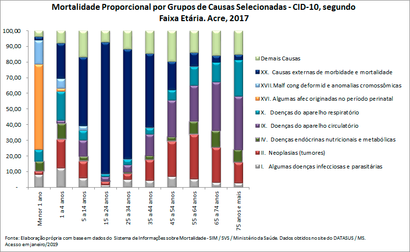 Mortalidade proporcional por grupos de causas, segundo faixa etária