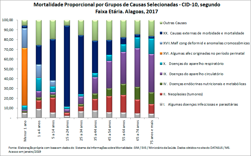 Mortalidade proporcional por grupos de causas, segundo faixa etária