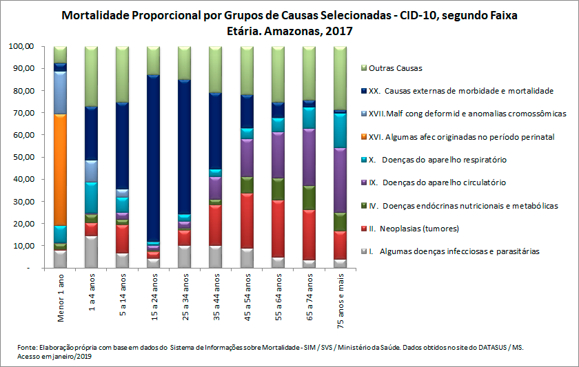 Mortalidade proporcional por grupos de causas, segundo faixa etária