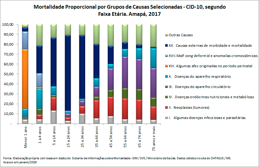 Mortalidade proporcional por grupos de causas, segundo faixa etária