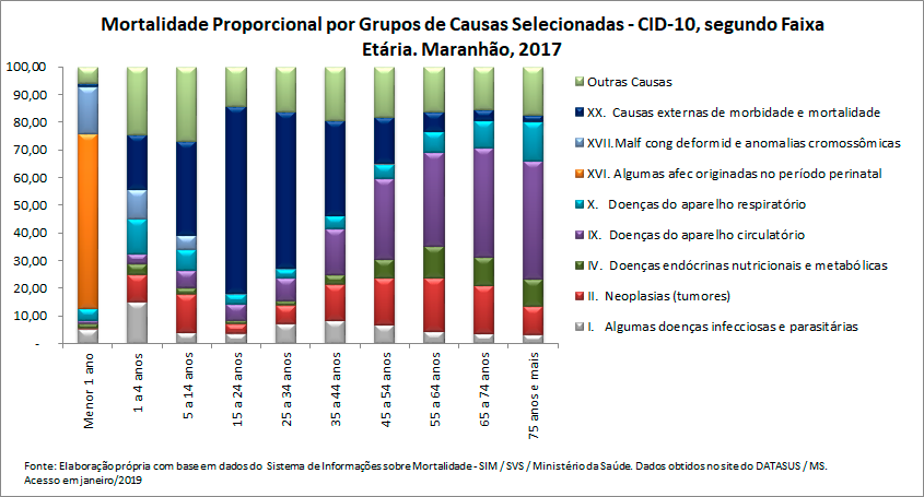 Mortalidade proporcional por grupos de causas, segundo faixa etária