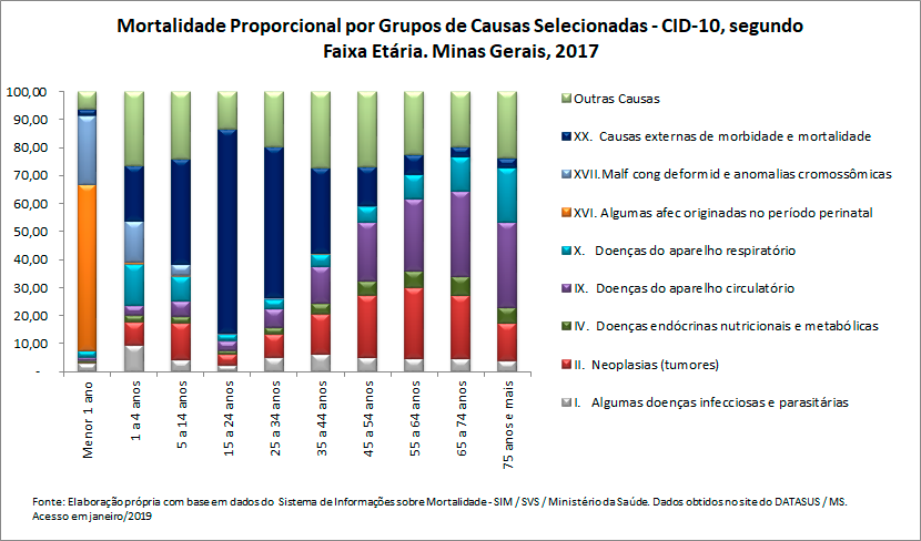 Mortalidade proporcional por grupos de causas, segundo faixa etária