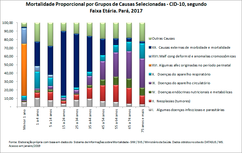 Mortalidade proporcional por grupos de causas, segundo faixa etária