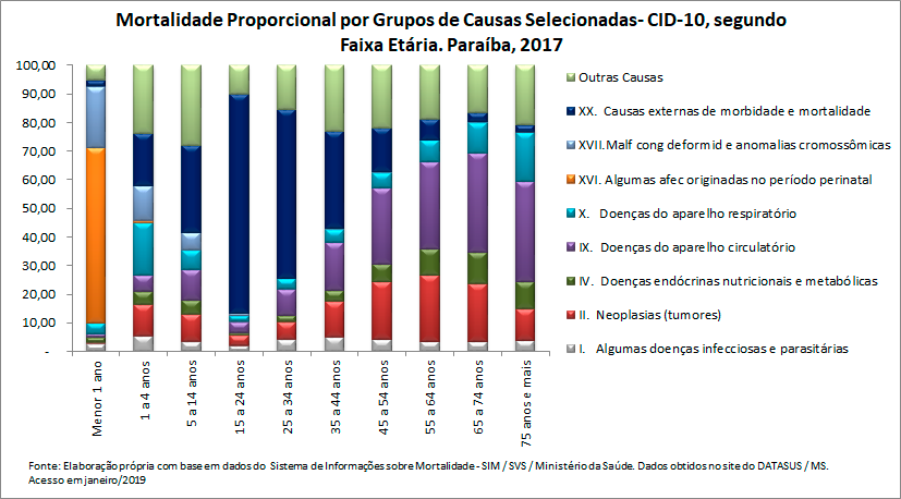 Mortalidade proporcional por grupos de causas, segundo faixa etária