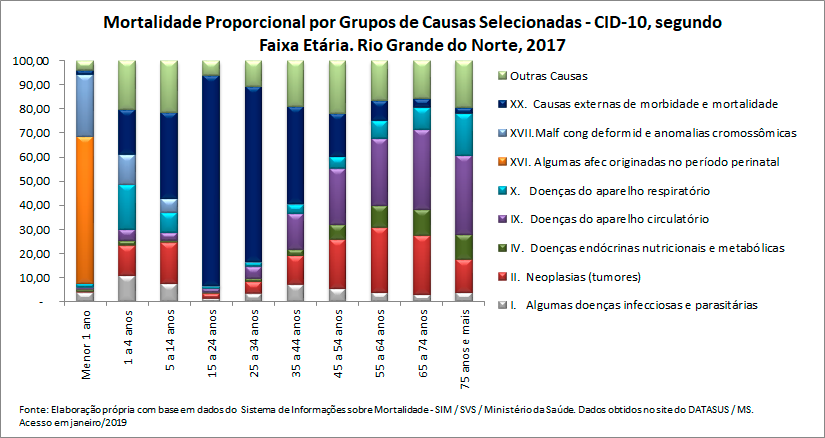 Mortalidade proporcional por grupos de causas, segundo faixa etária