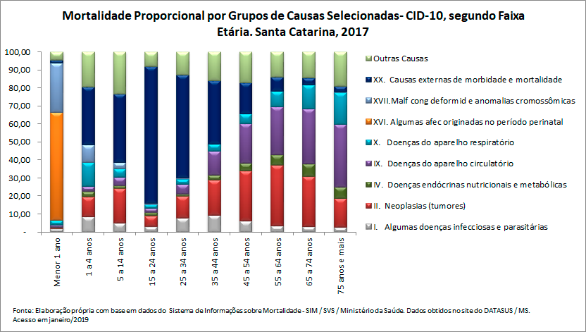 Mortalidade proporcional por grupos de causas, segundo faixa etária