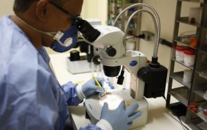 Dengue - LACEN (04) (1)